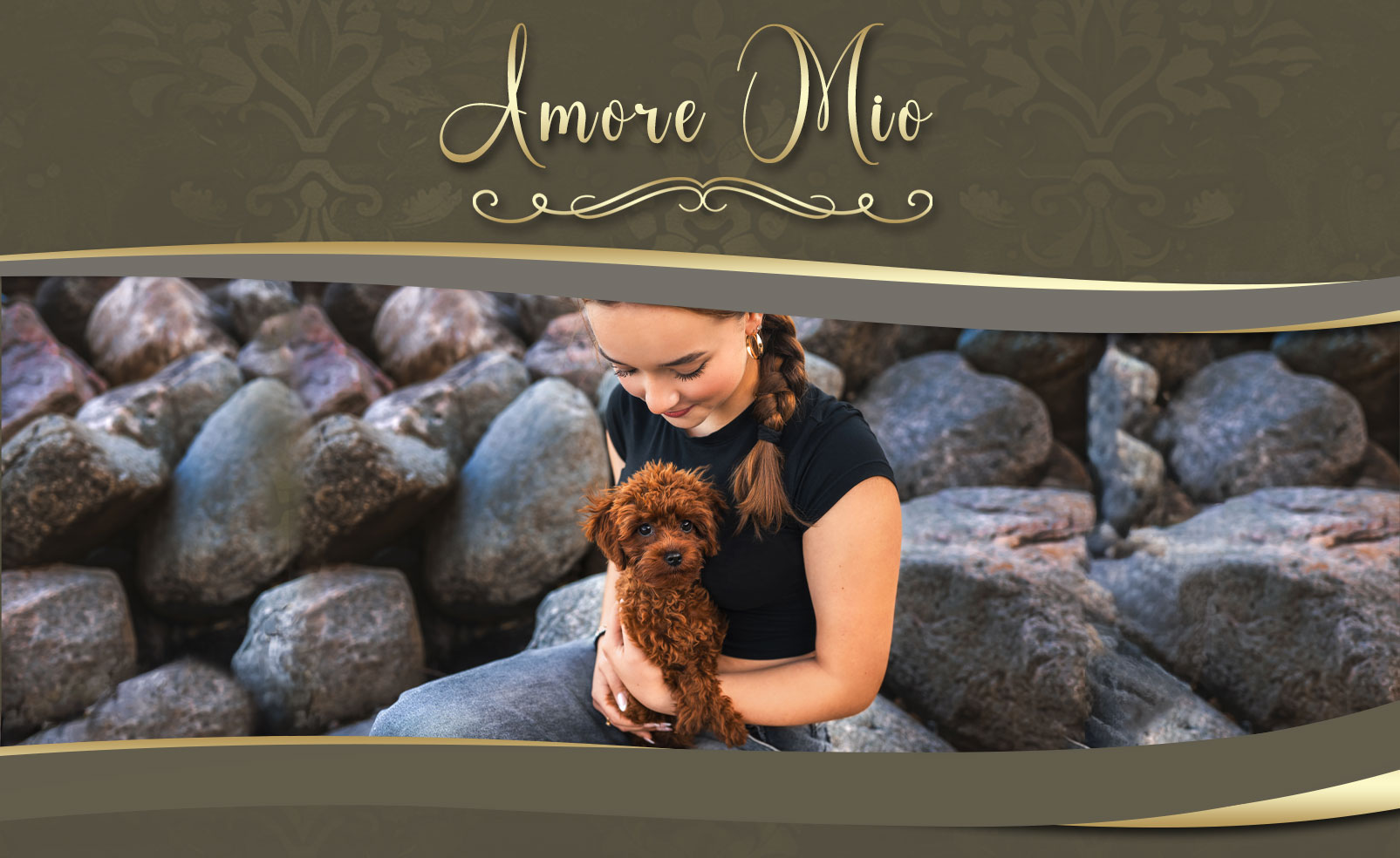 Amore Mio Pudel & Malteserzucht